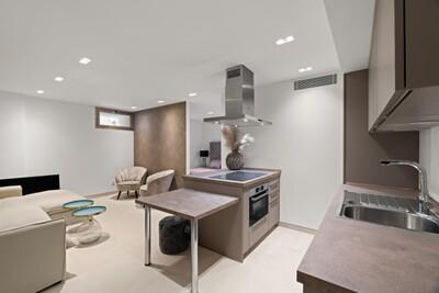Guest Apt