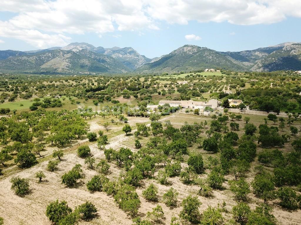 Large rustic plot for sale, walking distance from the village of Campanet, Mallorca