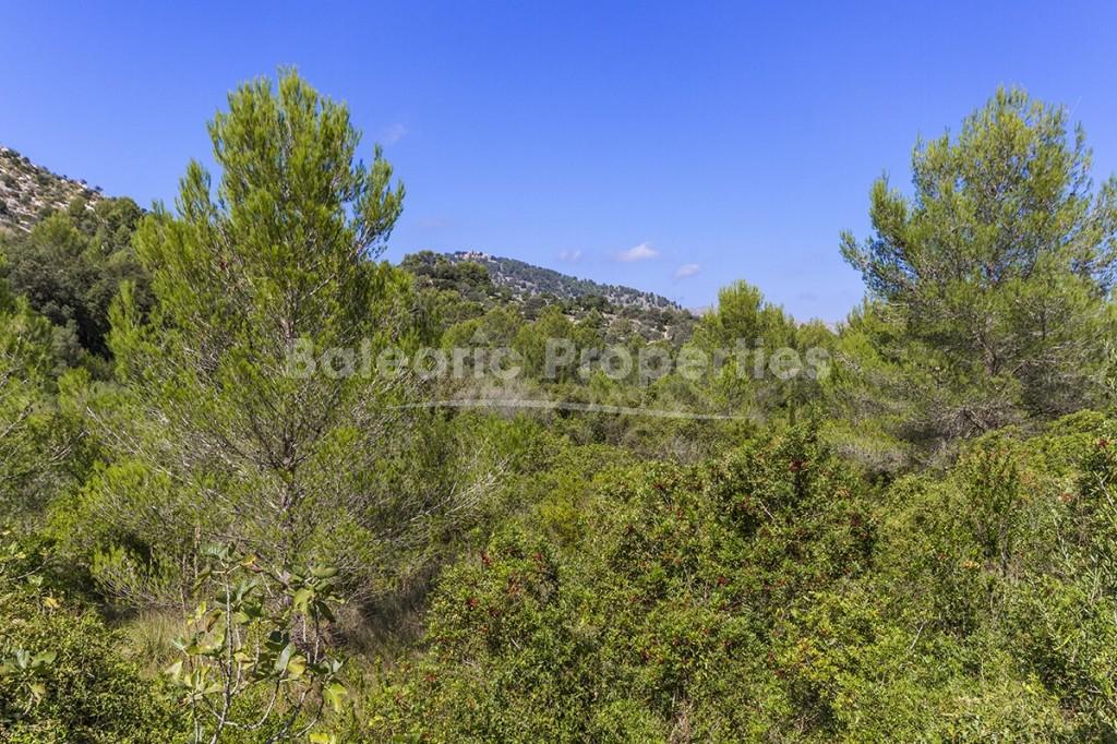 Large country plot for sale near the town of Pollensa, Mallorca
