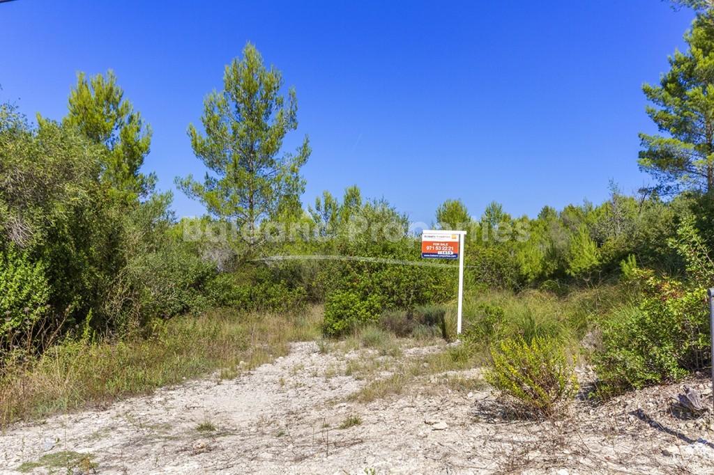 Large country plot for sale near the town of Pollensa, Mallorca