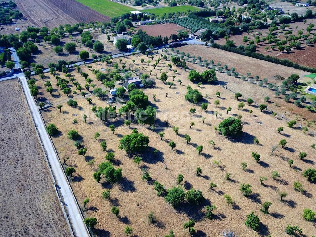 Gorgeous Mallorcan plot with serene views for sale in Campanet, Mallorca