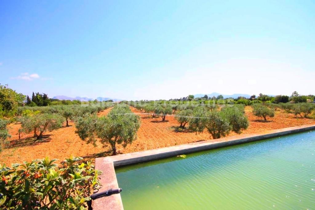 Country villa for sale in Pollensa, Mallorca