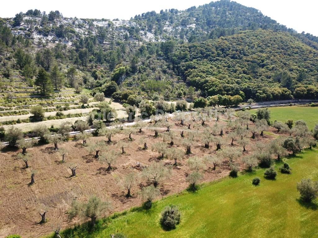 Spectacular plot in the Serra de Tramuntana