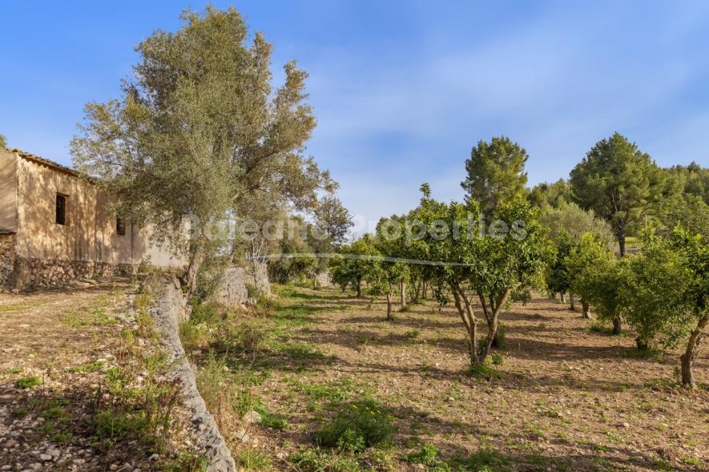 Huge country plot for sale in Bunyola, Mallorca