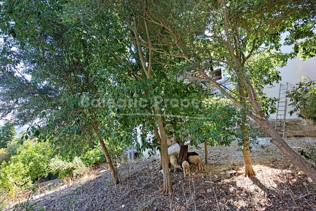 Exclusive plot with an existing building to develop for sale in Campanet, Mallorca
