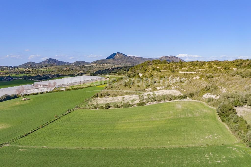 Perfect plot with project to build your dream home for sale in Manacor, Mallorca