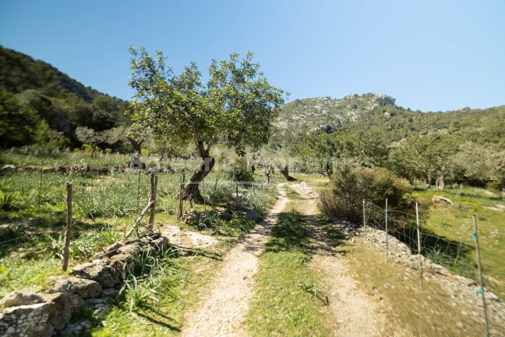 Country property in an idyllic area for sale near Pollensa, Mallorca