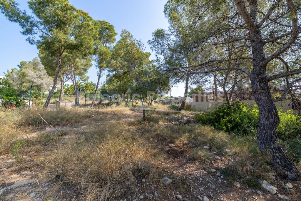 Residential plot with project and license for sale in Cala Vinyes, Mallorca