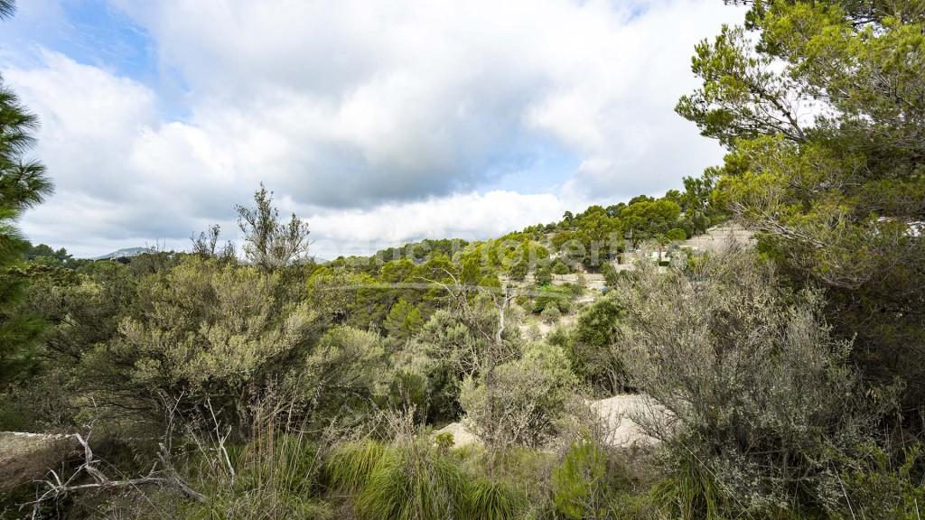 Gran oportunidad de comprar un terreno en una ubicación idílica en Galilea, Mallorca