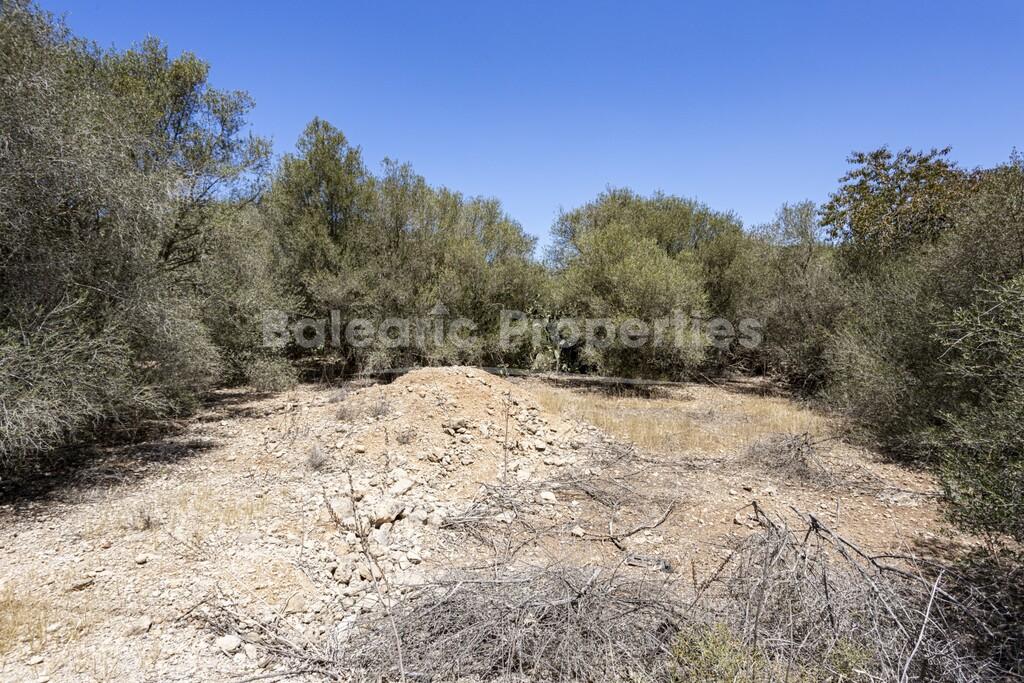 Plot for sale in Sa Cabaneta, Mallorca