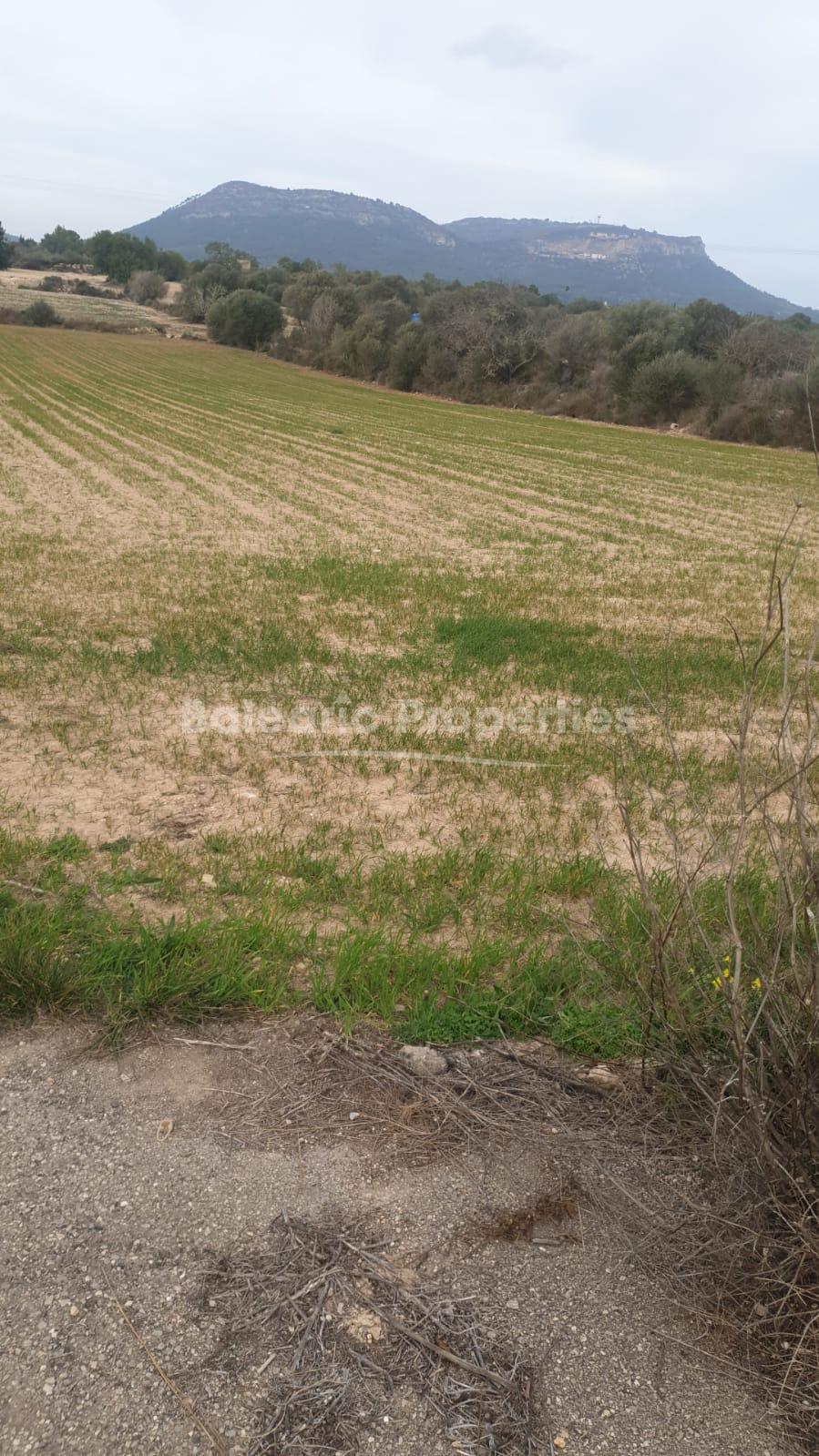 Rustic Plot for sale in Llucmajor, Mallorca