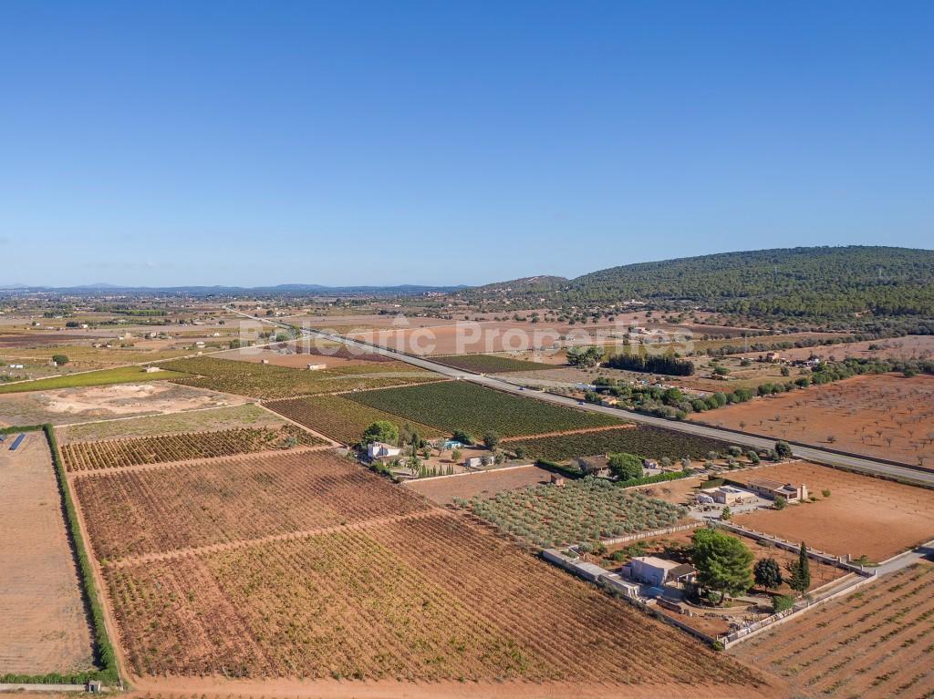 Rustic plot with villa project and vineyard for sale in Santa Maria, Mallorca