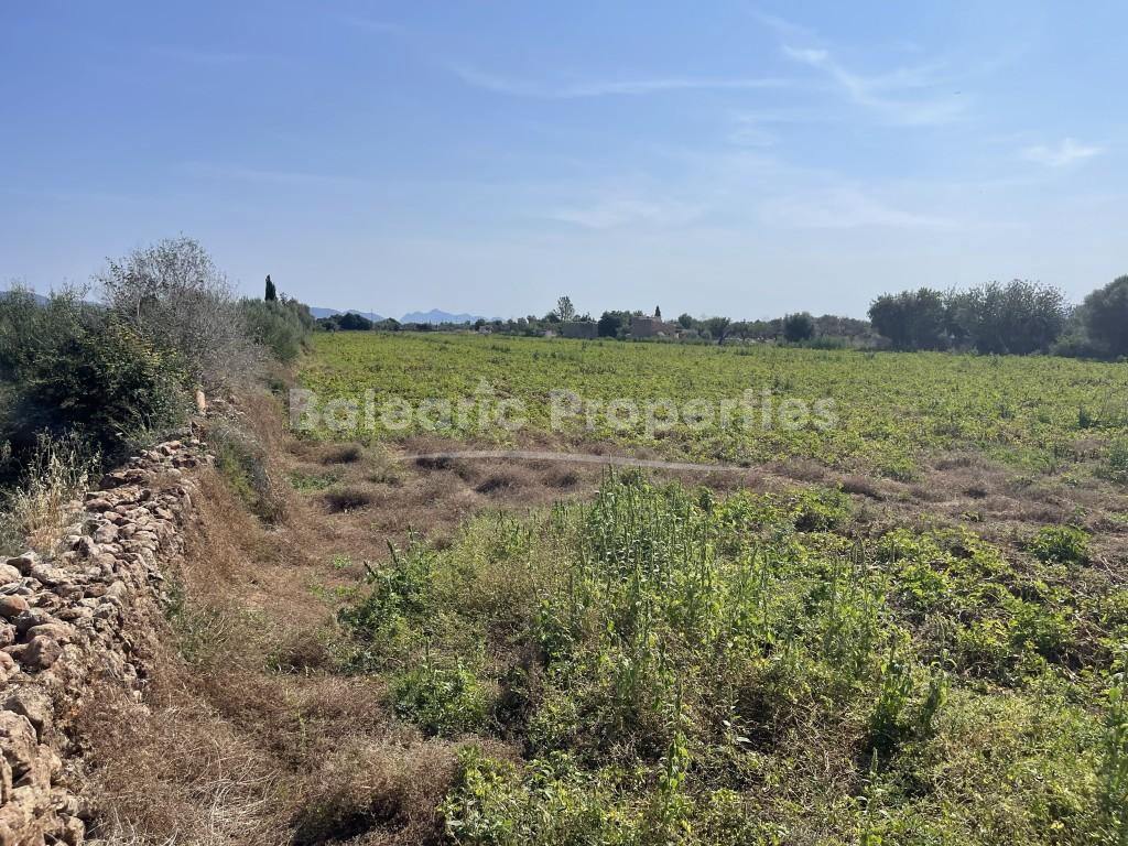 Country plot with fantastic villa project for sale near Búger, Mallorca