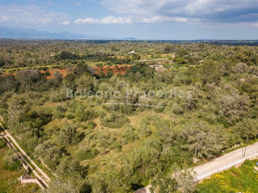 Spacious plot of land for sale in tranquil Algaida, central Mallorca