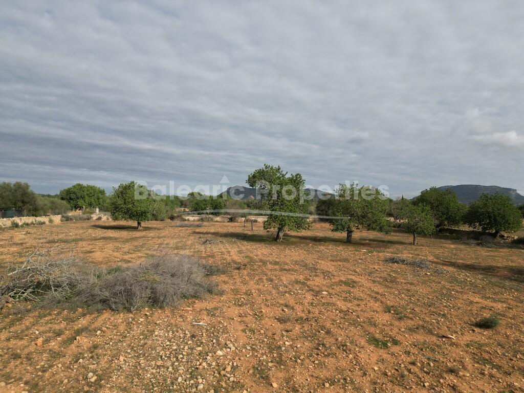Large building plot with license for sale in Llucmajor, South Mallorca