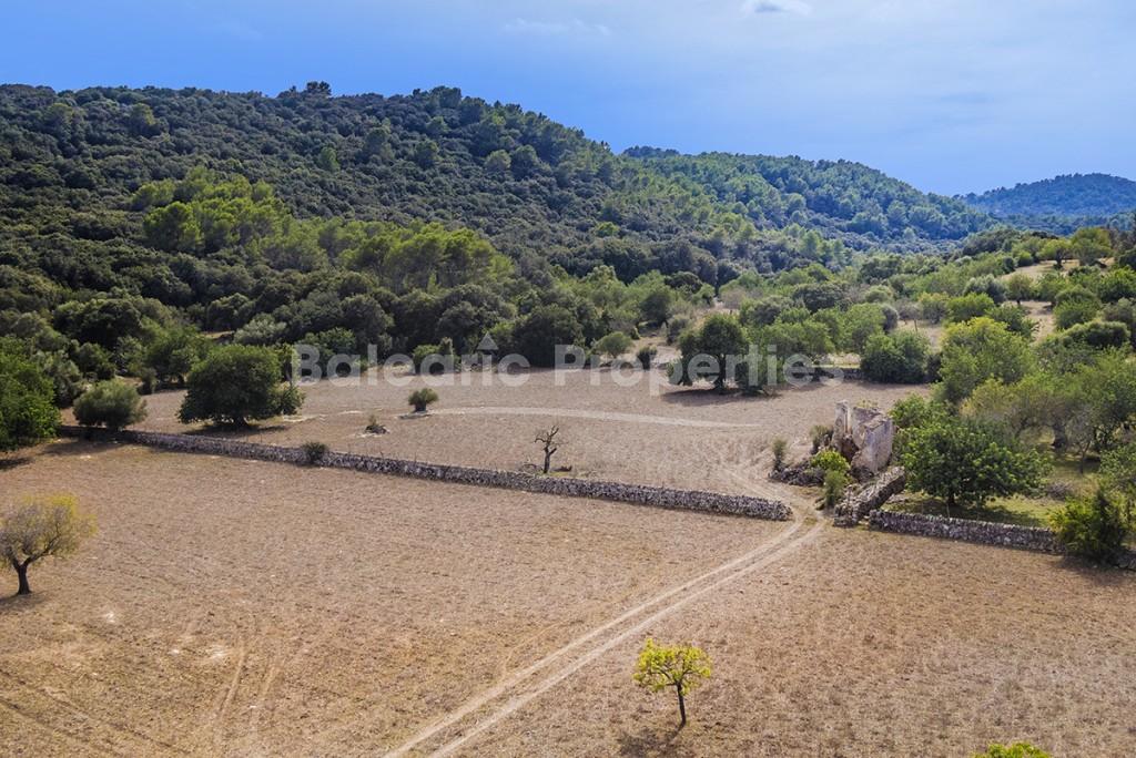 Huge country plot for sale in Pollensa, Mallorca