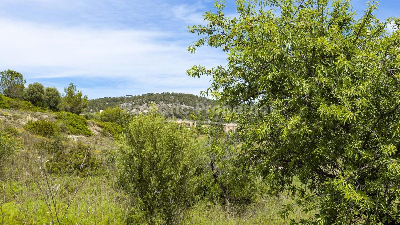 Terreno edificable con vistas en Calvià, Mallorca