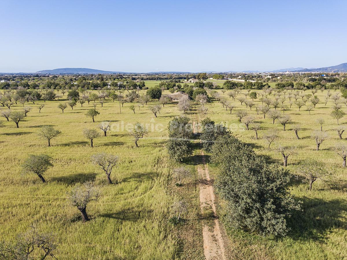 Huge country plot with mountain views for sale in Inca, Mallorca
